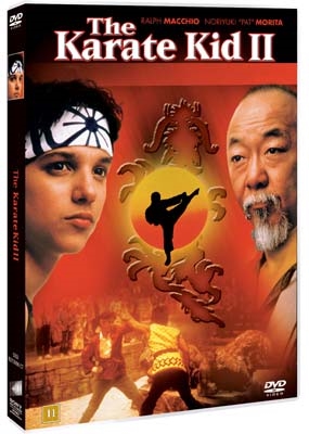 The karate kid 2