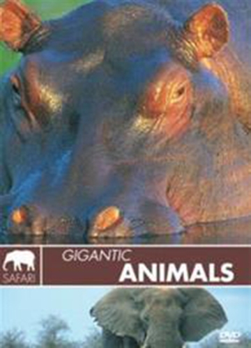 Gigantic animals [DVD]