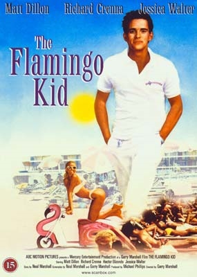 The Flamingo Kid