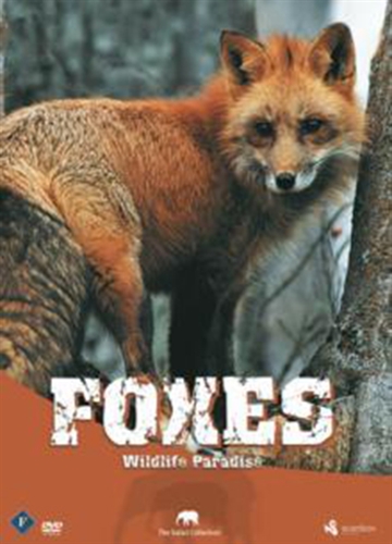 Foxes [DVD]