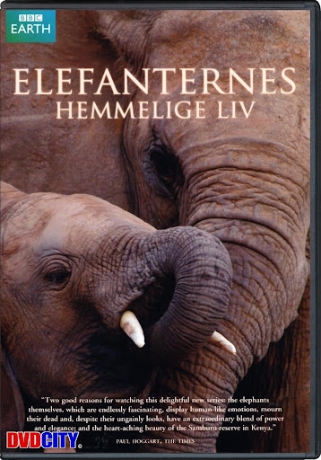 Elefanternes hemmelige liv [DVD]