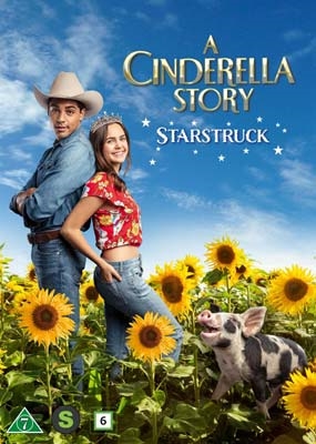 CINDERELLA STORY, A: STARSTRUCK [DVD]