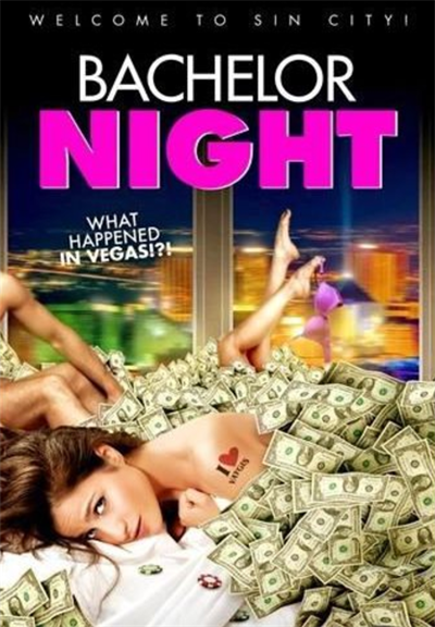 Bachelor Night (2014) [DVD]