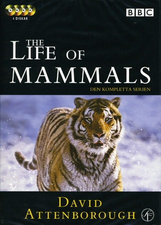 The Life of Mammals [DVD]