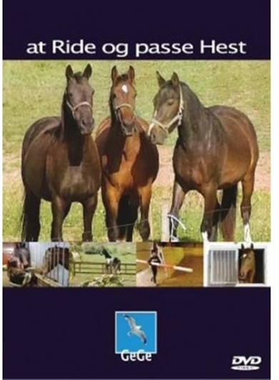 At Ride og passe Hest [DVD]